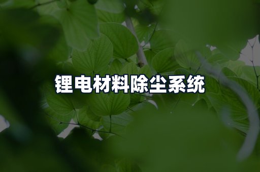 锂电材料除尘系统