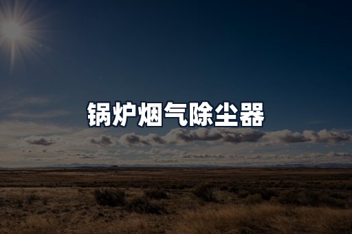 锅炉烟气除尘器